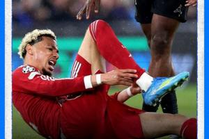 伤缺9个月!利物浦官方:埃基蒂克跟腱断裂,赛季报销无缘世界杯